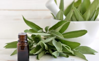 Sage for Major Flavor and Maximum Health