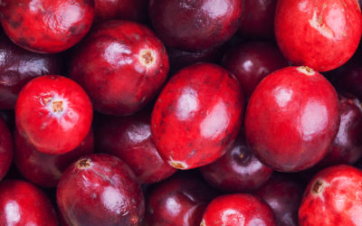 Benefits of Cranberries