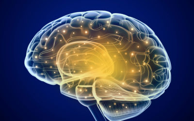 The Microbiome-Gut-Brain Axis
