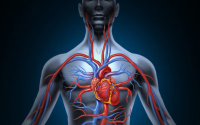 Atrial Fibrillation – The Nutrition and Lifestyle Connection